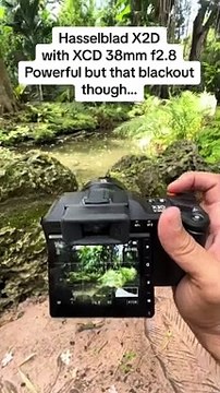 Capturing the Beauty: A Nature Photography Journey