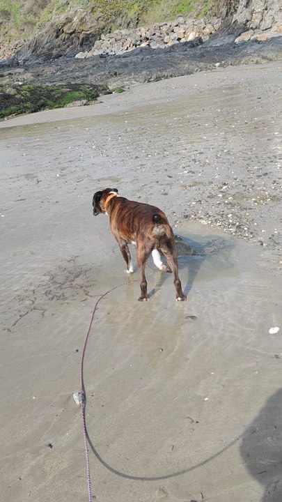 L'eau de mer est salée