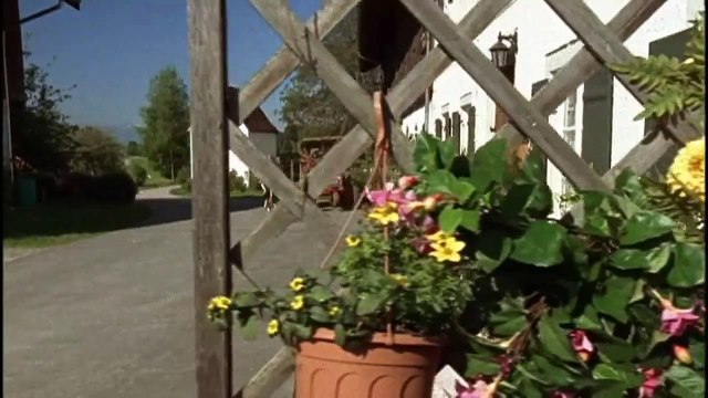 Die Rosenheim-Cops (43) Staffel 4 Folge 9 - Der Bulle von Rosenheim