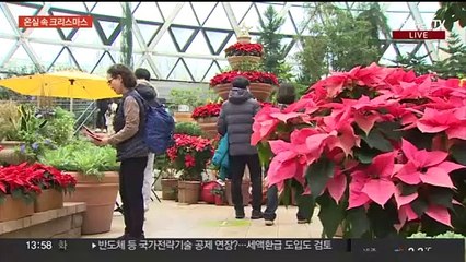 외투는 잠시 넣어두고…온실 속 크리스마스 찾는 시민들
