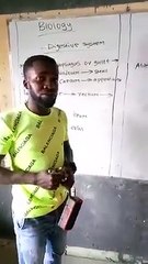 The human digestive system