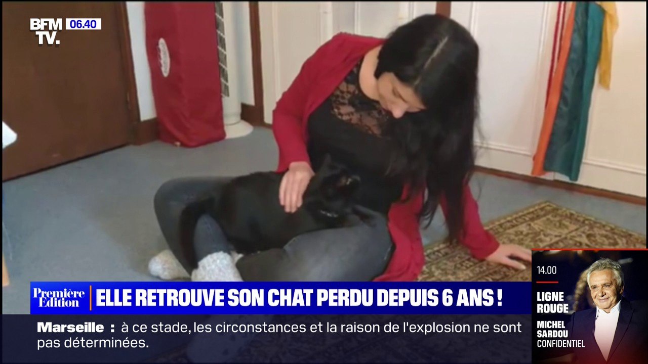 Elle retrouve son chat perdu depuis six ans