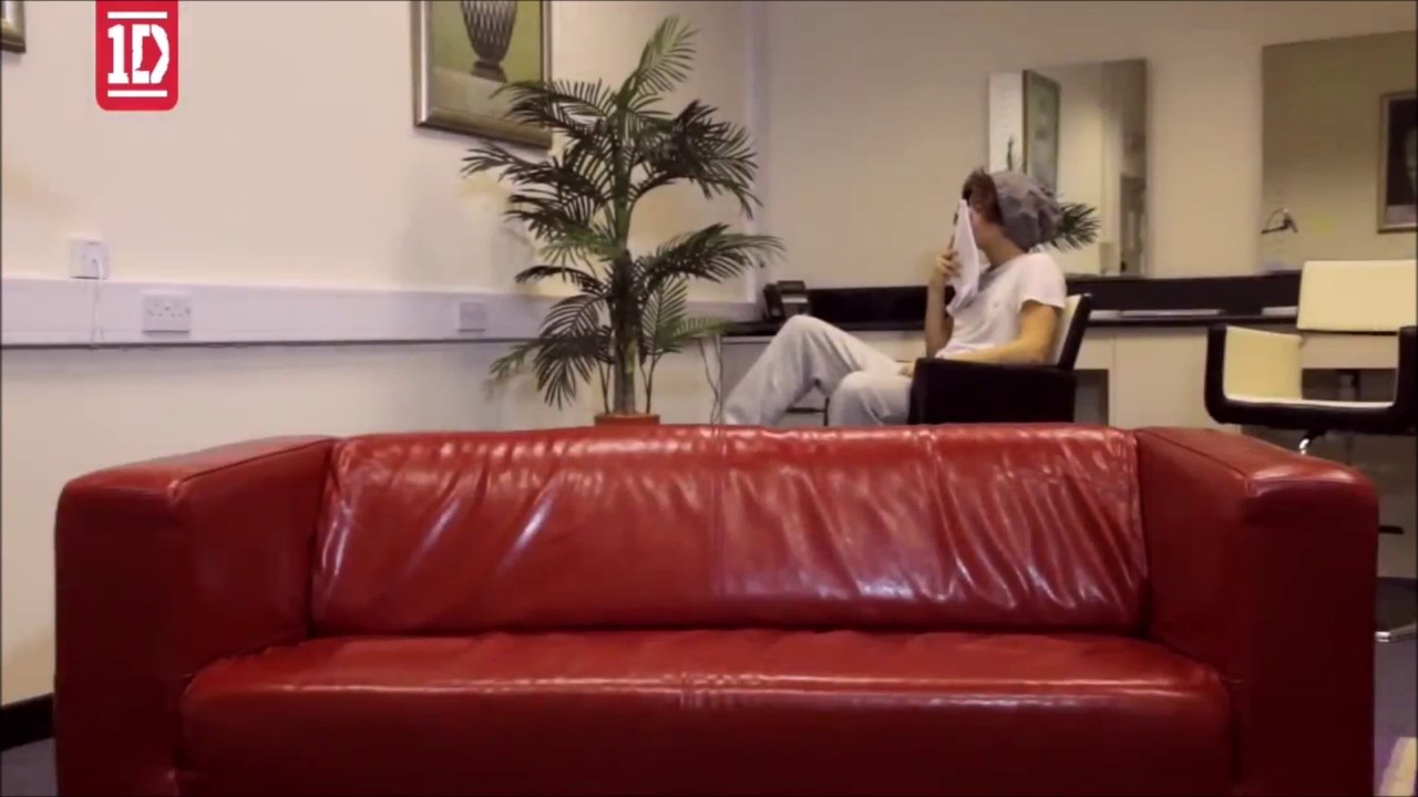 【字幕】One Direction - Video Tour Diary [Full]
