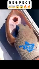 respect  #23 #respect #bodybuilder #subsub #photography #happy #youtube #girls_respect_shayari    #respect   respect shorts respect song respect video respect status respect natok respect girls respect s2h #shorts respect shorts tiktok Respect reels