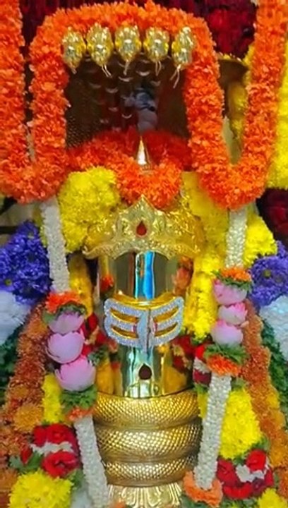 Om namah Shivaya