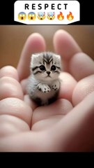 respect  #23 #respect #bodybuilder #subsub #photography #happy #youtube #girls_respect_shayari    #respect   respect shorts respect song respect video respect status respect natok respect girls respect s2h #shorts respect shorts tiktok Respect reels