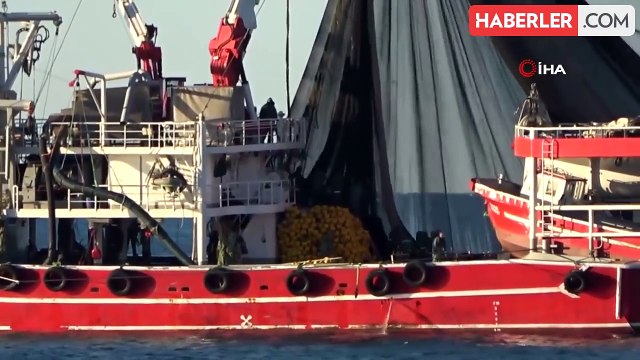 Karadeniz'de Hamsi Bolluğu: Türk Tekneleri Gürcistan'a Yöneldi