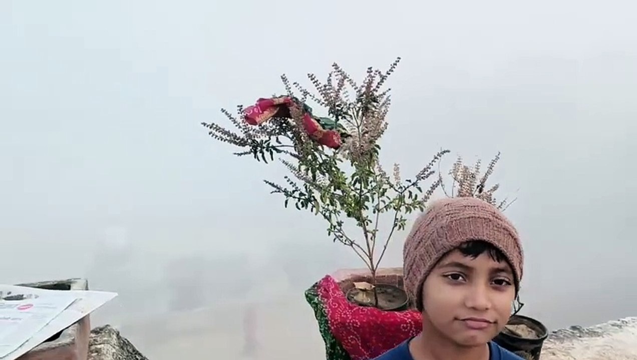 घना कोहरा छाया, सड़कों दस मीटर पर भी साफ दिखाई...
