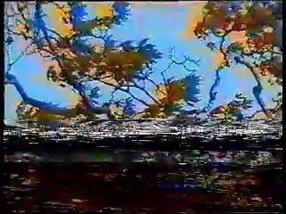 FILMI TV. "I PAHARRUARI" I Kinematografia, Arti Skenik, Sporti