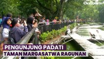 Laporan dari Tempat Wisata, Taman Margasatwa Ragunan Dipadati Pengunjung di Libur Natal