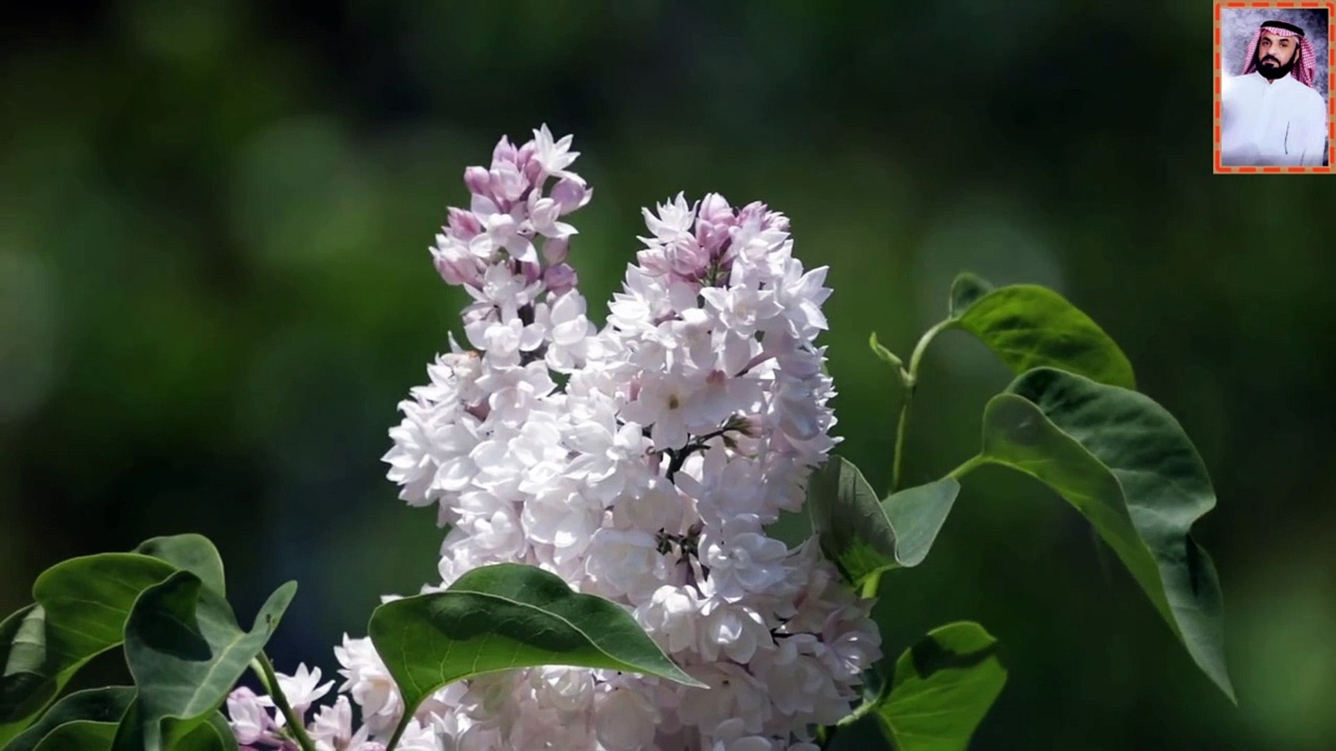 ⁣اروع تلاوة القرآن الكريم