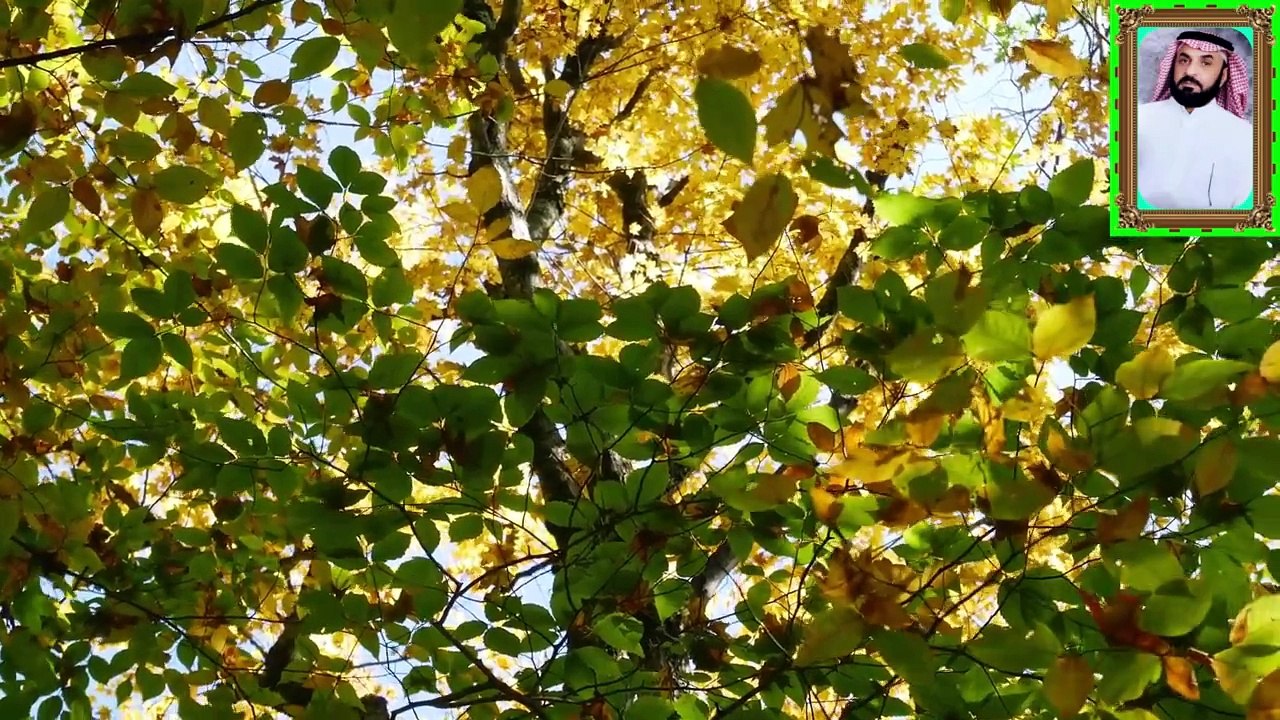 تلاوة خاشعة ومؤثرة جدا مبكية