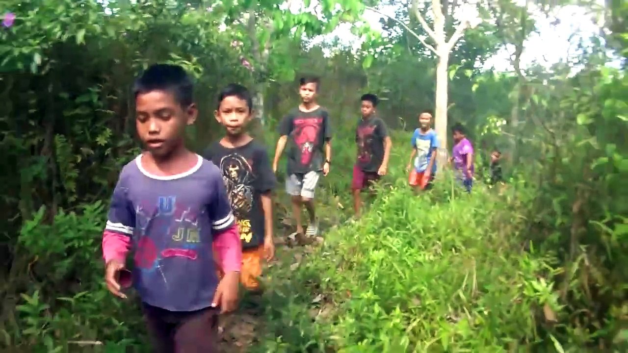 Kampung dalam Jelutung