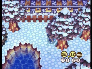 Animal Crossing online multiplayer - ngc