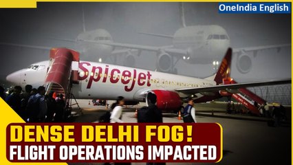 Flight Frenzy at Delhi Airport! Zero Visibility Halts Operations in Dense Fog | Oneindia News