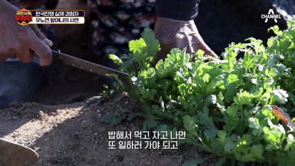6·25 전쟁 때 직접 지은 집?! 한국전쟁 실제 경험자 우노연 할머니의 고민