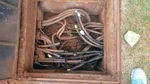 Ladrão furta cabos de energia e causa transtornos no Alto Alegre