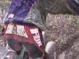 ptits sauts en quad.