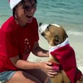 Sybille prend soin de chiens en situation de handicap ! Pour Noël elle a organisé une sortie à la mer !