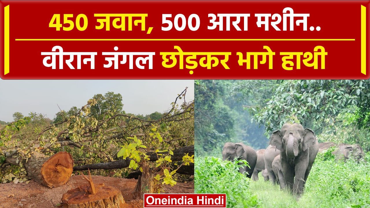 Hasdev Aranya में Police जवान और आरा मशीनों की गूंज, हाथियों ने छोड़ दिया जंगल | वनइंडिया हिंदी
