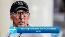 Textor dépensera 50ME pour l'OL, Pierre Sage ou non