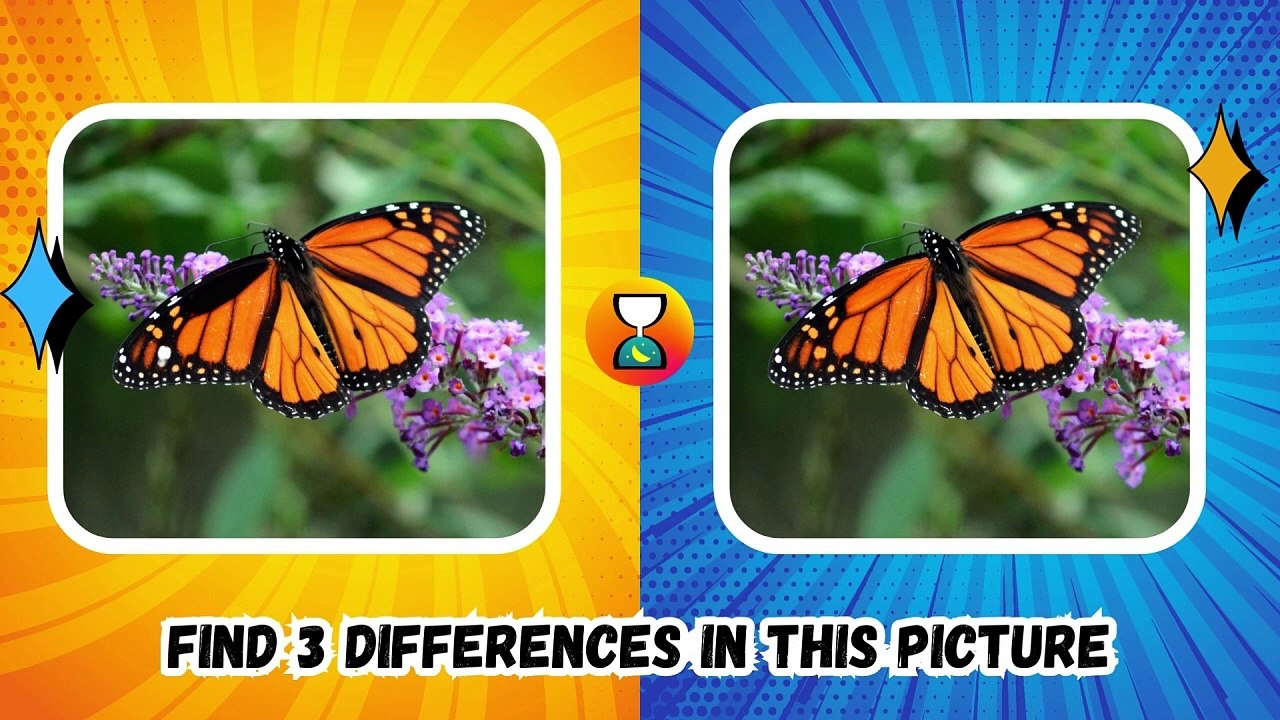 Spot The Difference  Only Genius Find 3 Differences . Ep2