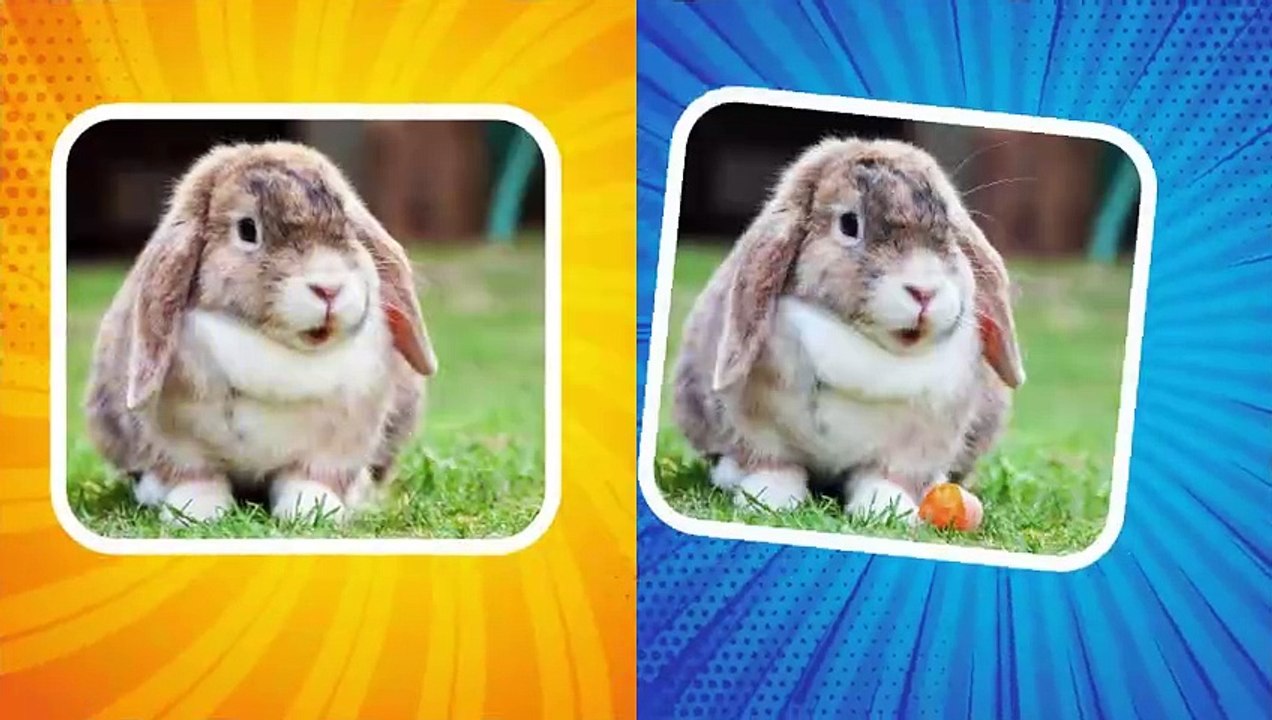 Spot The Difference  Only Genius Find 3 Differences  Ep1