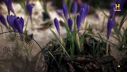 Los celtas, la historia desconocida 1x03 El principio del fin