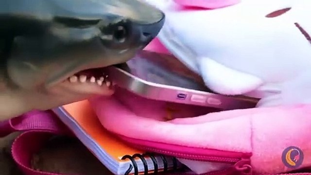 Alphabet Lore Alive *Saving Letters With Cool Gadgets And Crafts*