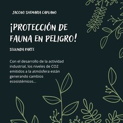 -Jacobo Shemaria Capuano- Hacer donaciones: (Parte 2) (Creado por @JacoboShemariaCapuano)