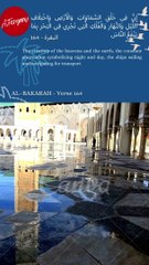 #008 sensed by those who reflect