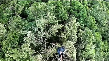 Resgate de mulher que caiu de parapente em praia de SC