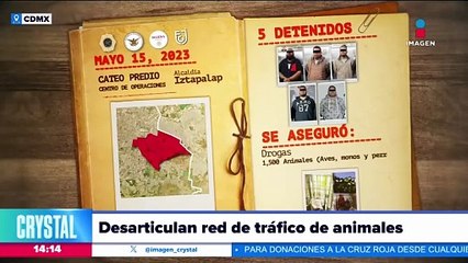 Desarticuan red de traficantes de animales en Iztapalapa, CDMX