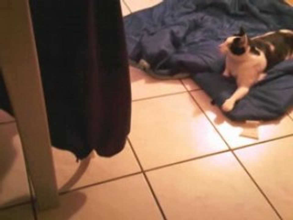Vidéo-0001
