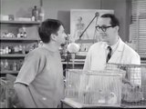 The Many Loves of Dobie Gillis S01E23 The Chicken from Outer Space