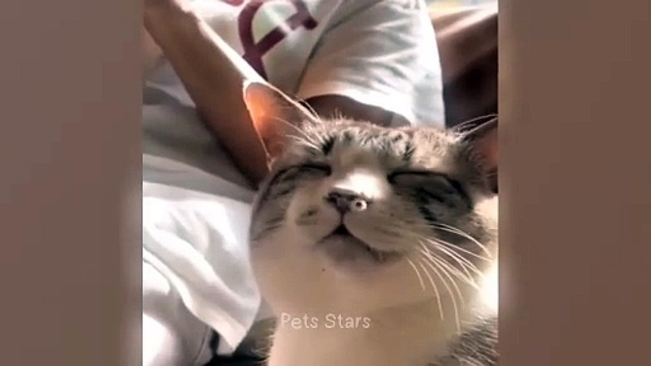 #ytshortsindia morsomt هههههه​​#cutebaby#comdy #comedys #babs#comedyshorts#cuteanimalsytshortsindia#ytshortsindia 有趣哈哈#cutebaby #comdycomedys #ba#comedyshorts #cuteanimals#ytshortsindia#ytshortsindiam ضكههههه#cutdy #comedys #babs#comedyshorts#cuteanimals#