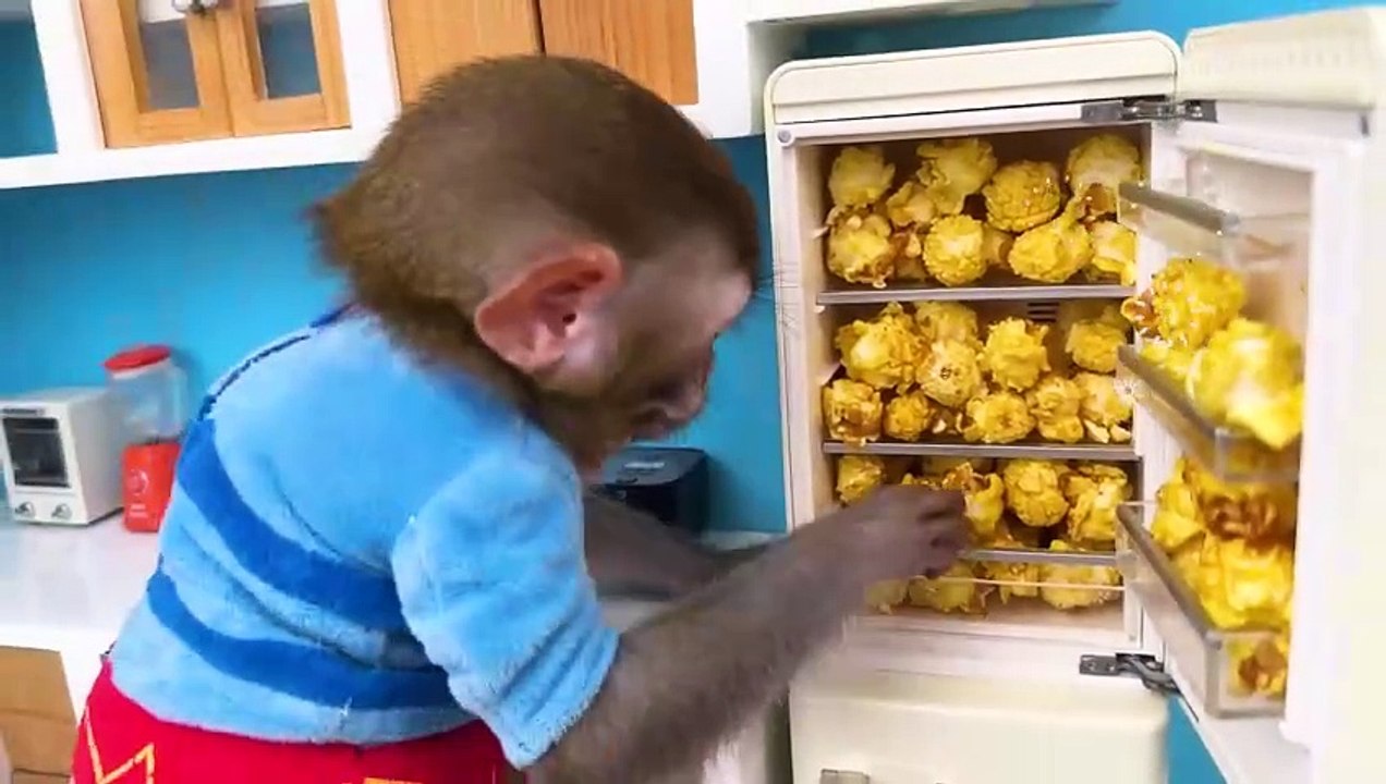 Monkey Baby Bon Bon oes to the toilet and plays with Ducklings in the swimming pool(720P_60FPS)