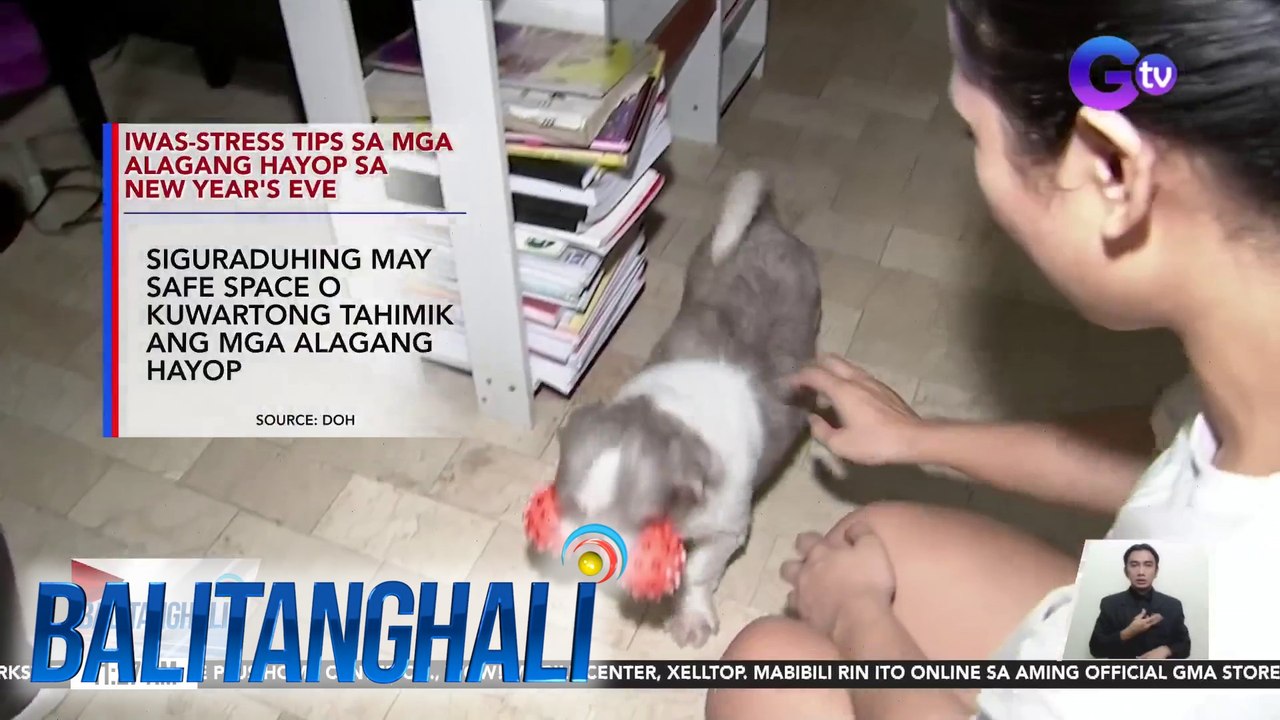Iwas-Stress tips para sa mga alagang hayop sa pagdiriwang ng bagong taon | BT