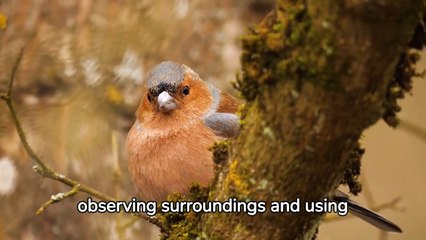 tips-to-take-control-of-your-mind