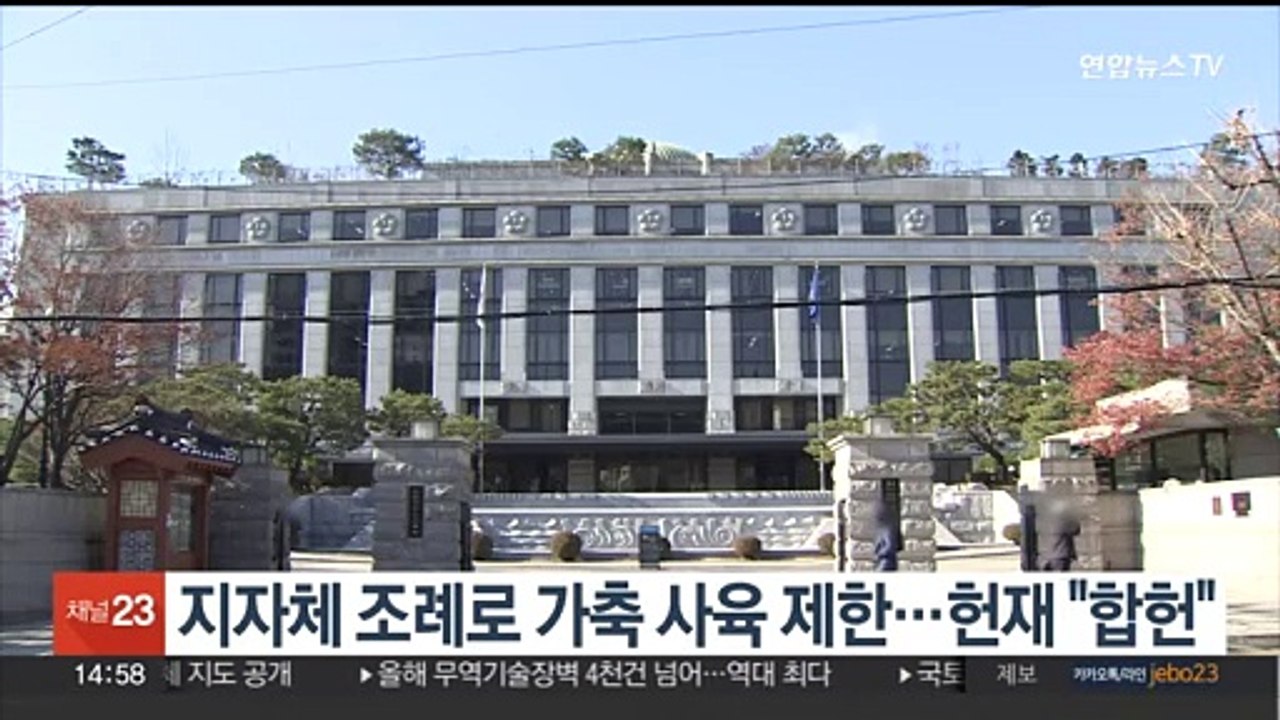 지자체 조례로 가축 사육 제한…헌재, 합헌 결정