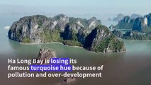 Pollution threatens turquoise hue of Vietnam's Ha Long Bay