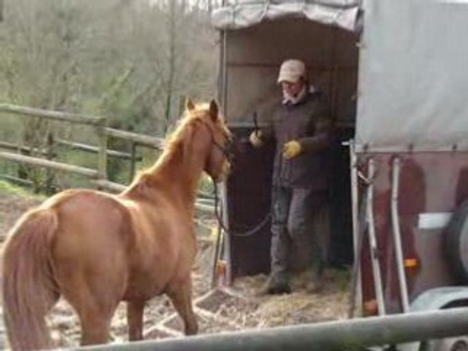 Monter dans un van grace à la pratique de l'éthologie