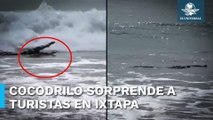 ¡Cocodrilo a la vista! Sorprende animal a turistas en playa de Ixtapa Zihuatanejo