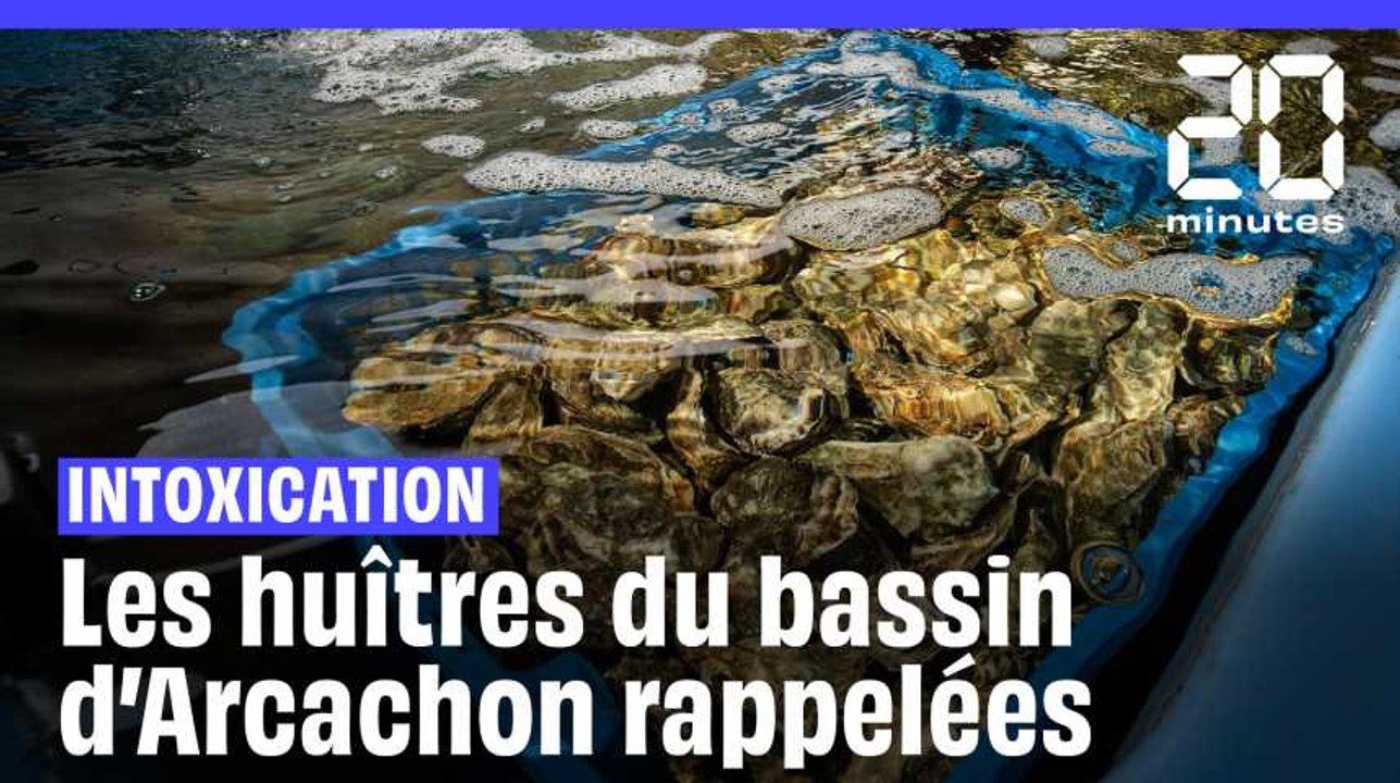 Bassin d'Arcachon : Les huîtres interdites à la vente après des intoxications