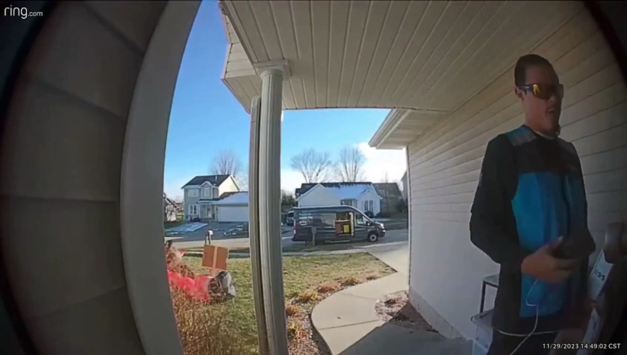Delivery Goodies Delight Driver