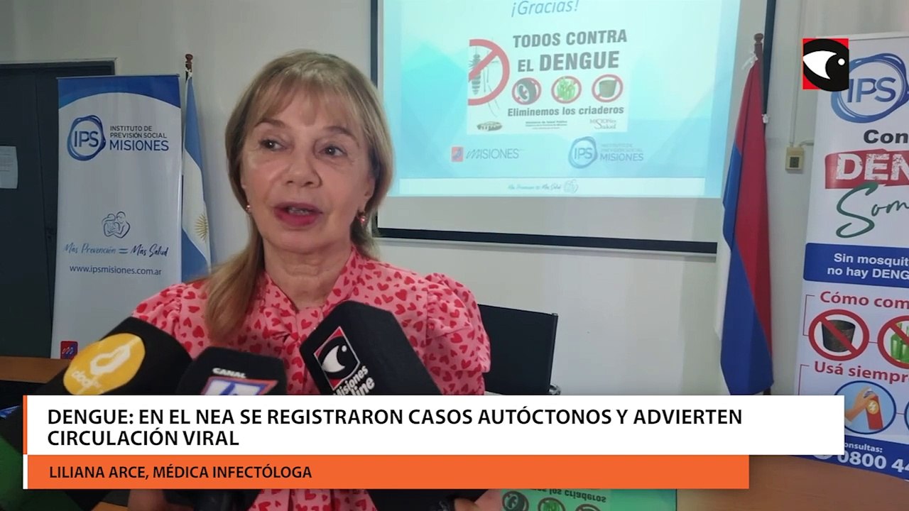 Situación actual del dengue en Misiones