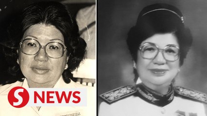 Rosemary Chow's death a loss for the party, says Dr Wee