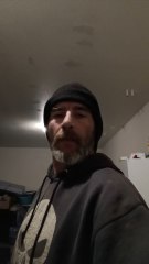 Aliens on Wander through the Stargate