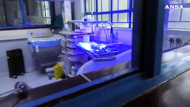 Nairobi, l'ospedale degli slum dove il diritto alla salute diventa realta'