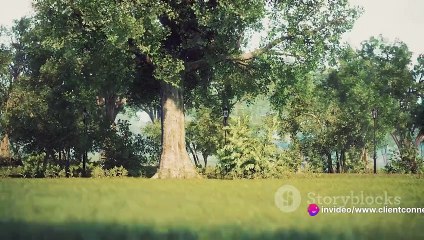 Online marketing for Landscape Businesses Webinar Training